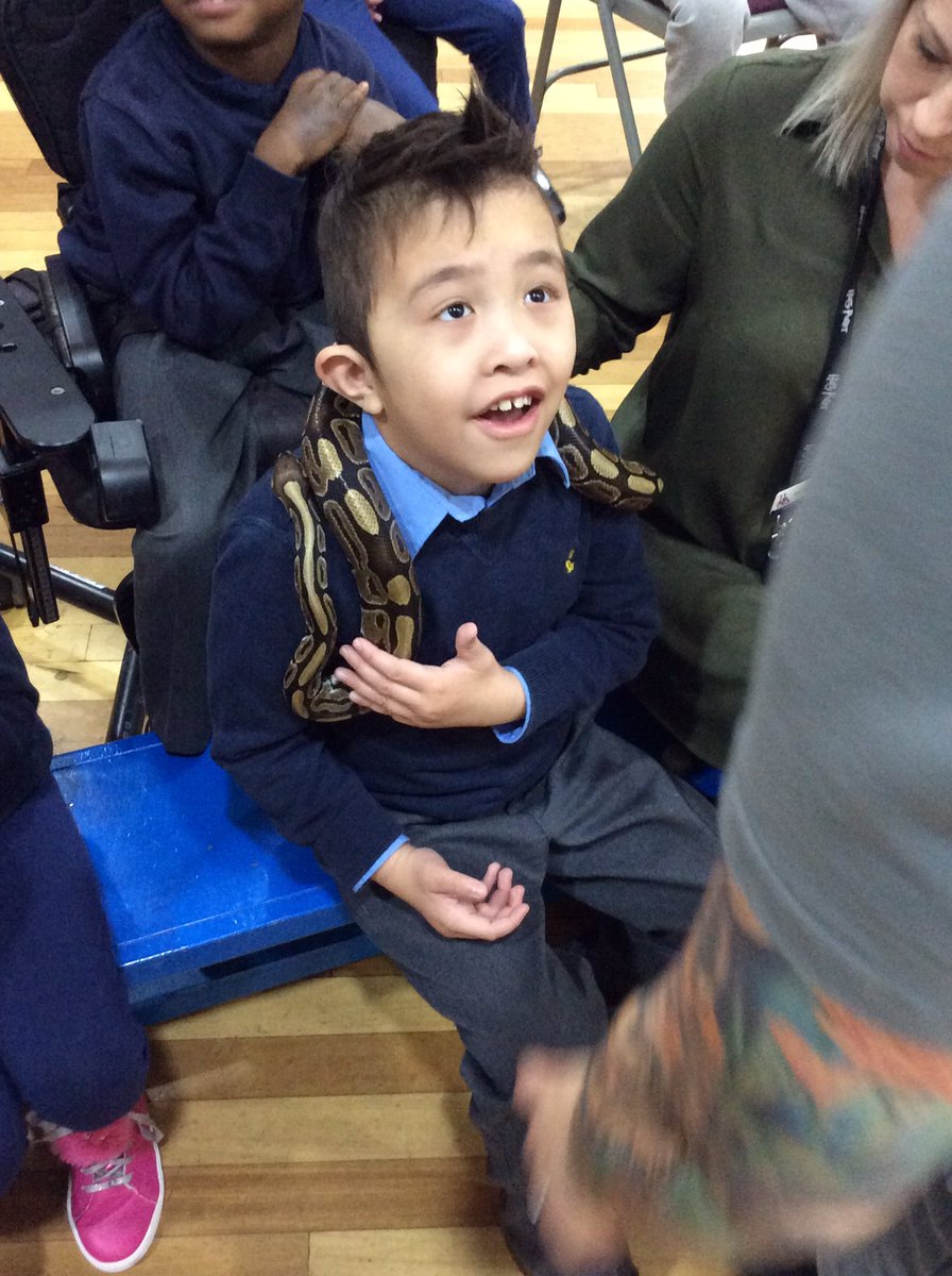 wilsonstfeed's tweet photo. #wsmonkeys showing how brave we can be during our Science/Critical Thinking day! Loving our visit from the animal lady! 🐍 https://t.co/bNYEv3pUL8