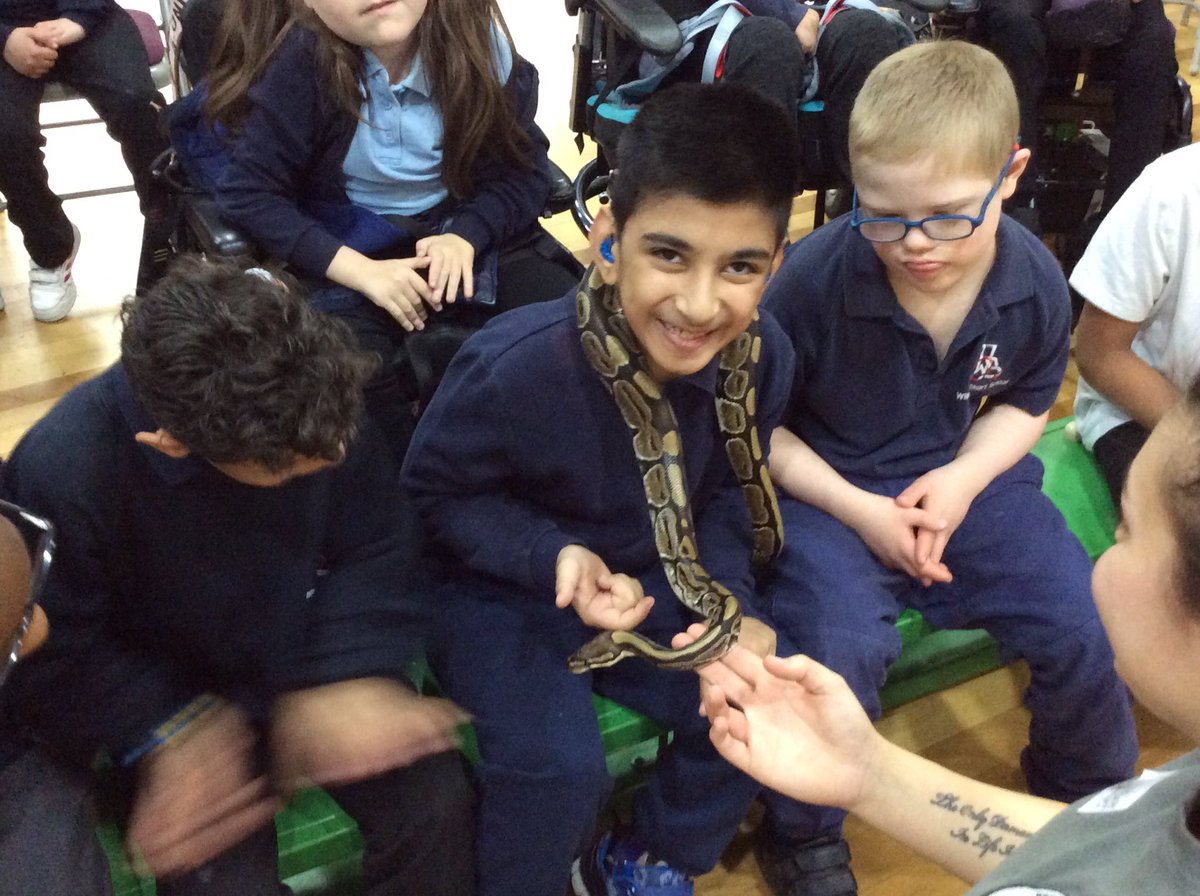 wilsonstfeed's tweet photo. #wsmonkeys showing how brave we can be during our Science/Critical Thinking day! Loving our visit from the animal lady! 🐍 https://t.co/bNYEv3pUL8