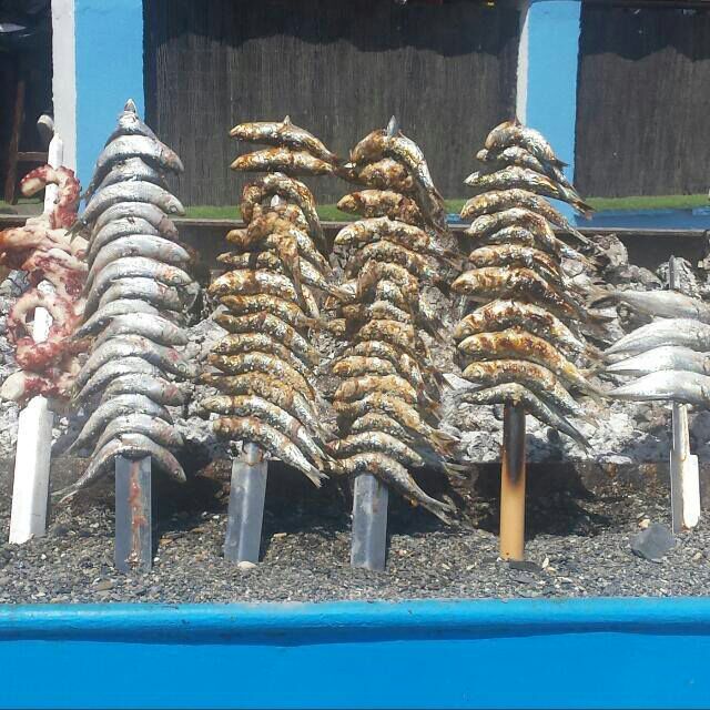 Bokeronidas's tweet photo. 1 de Mayo se terminan los meses con R  ya se pueden comer buenos espetos de sardinas en #Málaga. https://t.co/oMuSZphOyw