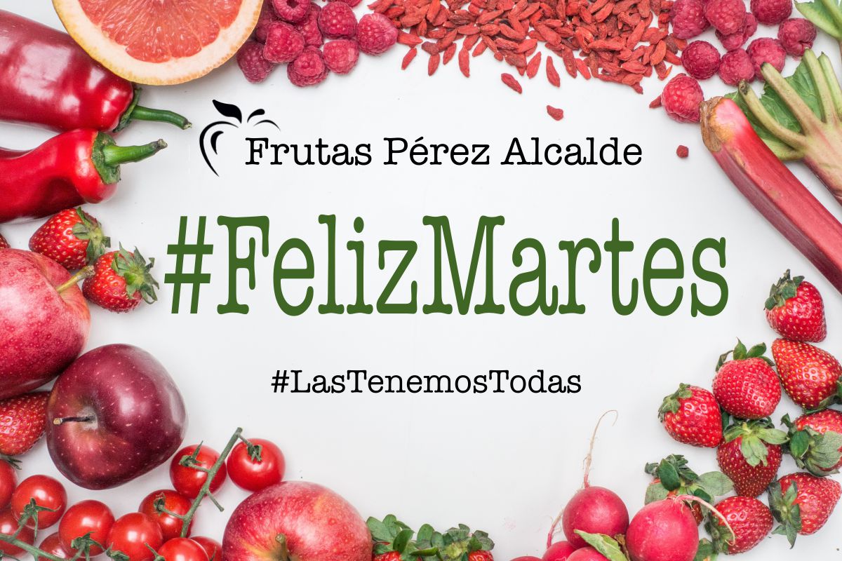 FPerezAlcalde's tweet photo. Buenos días #FelizMartes desde @FPerezAlcalde un placer compartir este 13 de Noviembre con nuestros seguidores. https://t.co/KEJpjg9PXA
