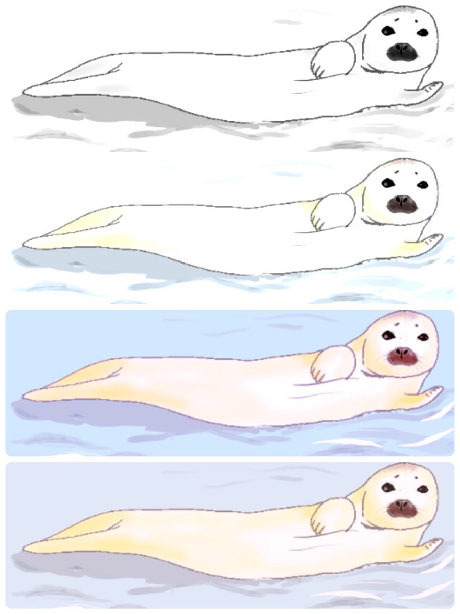 ガッチリカ على تويتر Akashiさん Akashiarai さんの撮影された あざらしの表情とポーズがなんとも可愛かったので描いてみました アザラシ Seal イラスト Illustration ゴマフウイーク