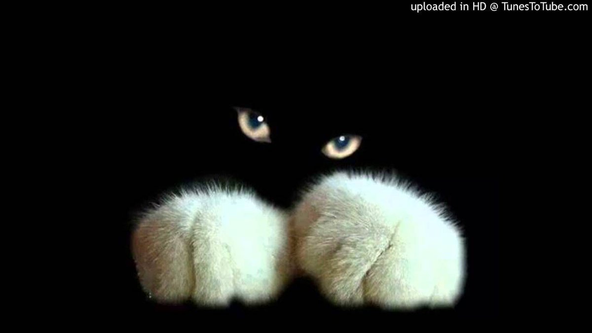 ch4rma_net's tweet image. #Droplex - Find #Myself (Original Mix) - buff.ly/2Kqx5le