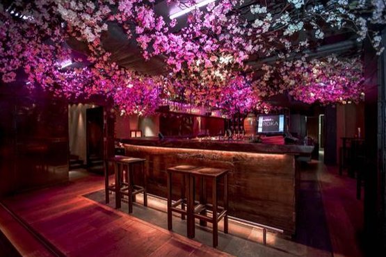 Cherry Blossom Installation In NYC — Zuma Restaurant Cherry Blossoms