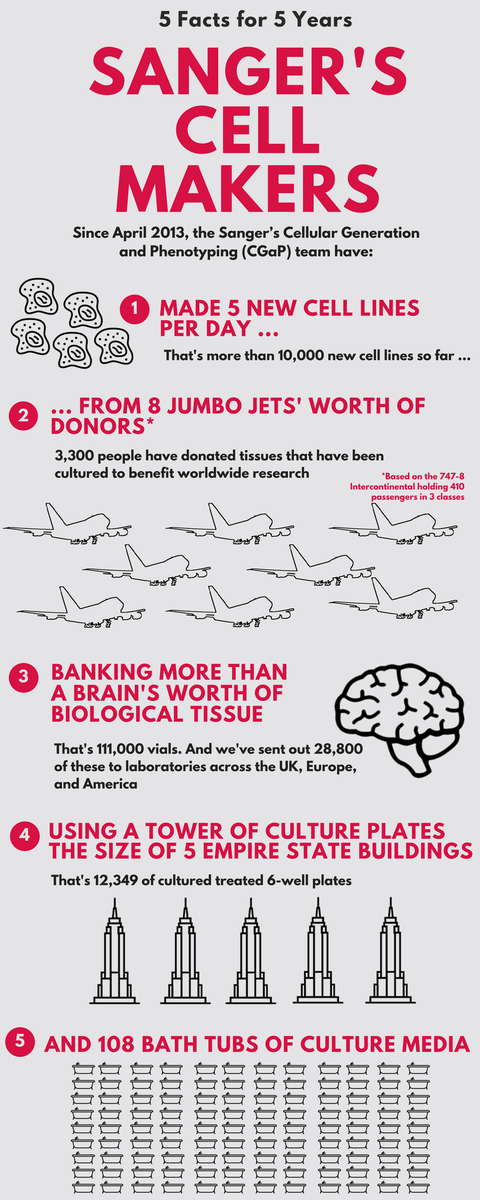 sangerinstitute's tweet image. Happy 5th Birthday to Sanger&apos;s cell makers! Their expertise in #stemcells, #organoids and #CRISPR powers our large-scale projects into health and disease bit.ly/2HErTwd