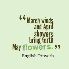 mzClevelander's tweet photo. "A swarm of bees in May 
Is worth a load of hay; 
A swarm of bees in June 
Is worth a silver spoon; 
A swarm of bees in July 
Is not worth a fly." 🌼🌸🌺🌷

#GoodMorningTwitterfamily
#HappyFirstDayOfMay 
#ByeByeWinterHelloSpring https://t.co/06r6PPrBmy
