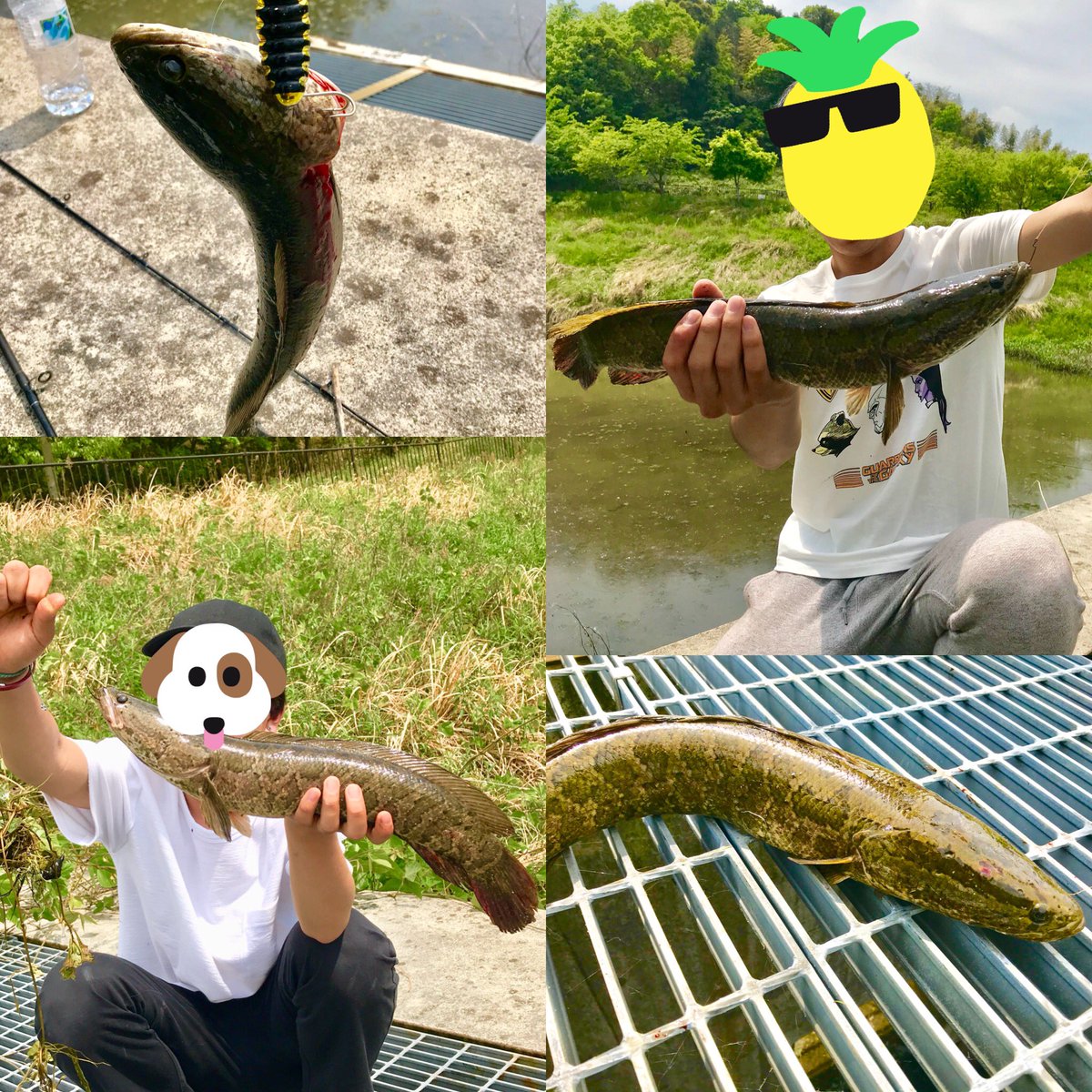 __G_S___'s tweet photo. 🌺４回目のヒッチハイクも無事成功🌺

次はいつになることやら。 https://t.co/q4PM9IoWi5