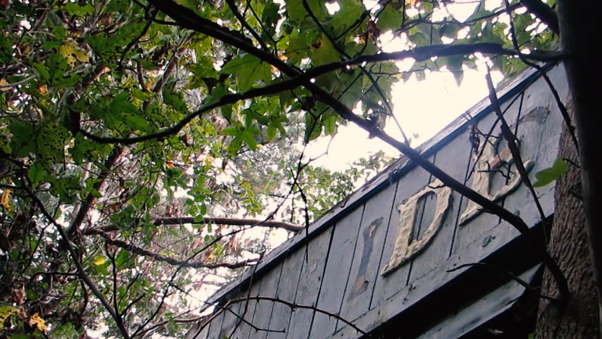 michaelktolbert's tweet image. Finding an old video store tucked away in the woods. Yes please! Link: youtu.be/_lyIdTRG_Cw 

#ExploreSC #OperationAdventure #DiscoverSC #Clerks #AbandonedPlaces #AbandonedLocations