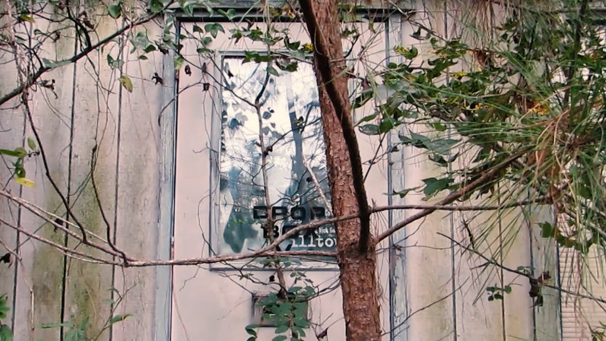 michaelktolbert's tweet image. Finding an old video store tucked away in the woods. Yes please! Link: youtu.be/_lyIdTRG_Cw 

#ExploreSC #OperationAdventure #DiscoverSC #Clerks #AbandonedPlaces #AbandonedLocations