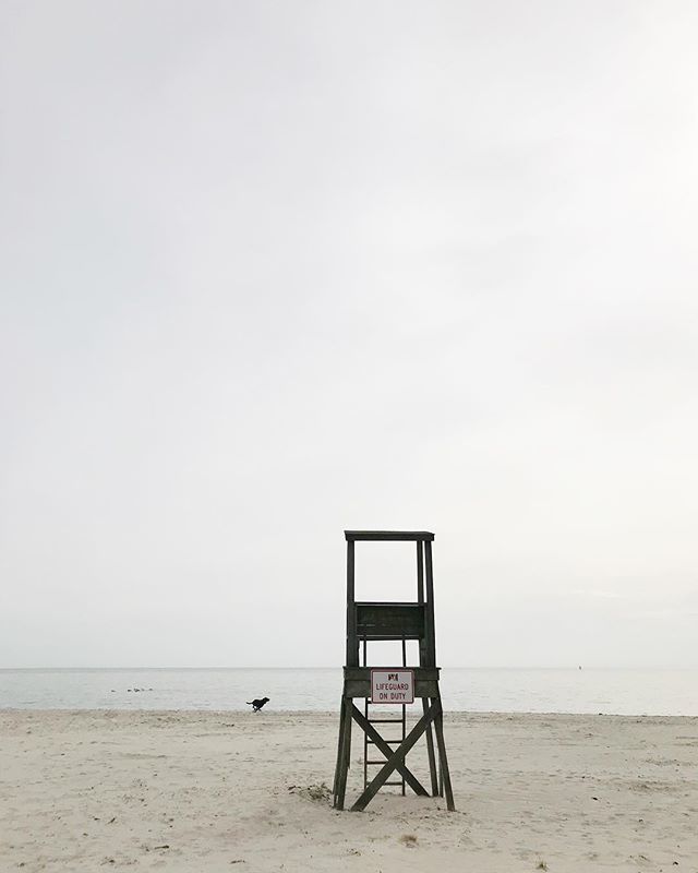 ElizabethEv's tweet image. That feeling when you’ve got the beach to yourself so you might as well run wild... 🕺🏻 I hope that’s the kind of Tuesday you’re having! What’s on your list of goals for the week?🏅 #highvibeliving #wellsummittribe #capecodimages ift.tt/2I53csg