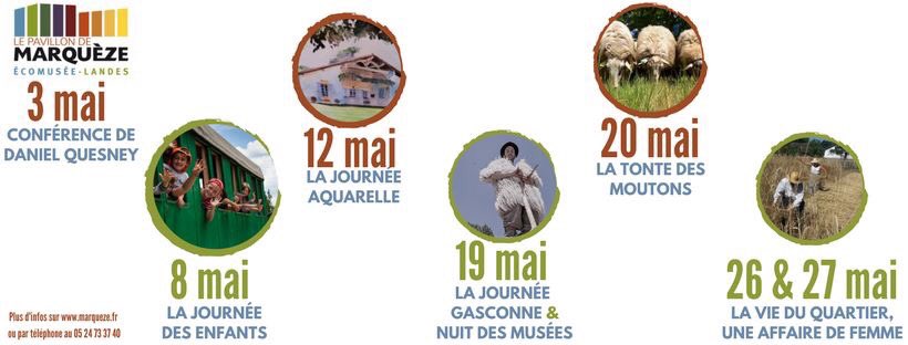 EcomuseMarqueze's tweet photo. En Mai, c’est à Marquèze qu’il faut aller !
Le programme complet de chacun des événements à découvrir sans plus attendre sur https://t.co/0IHiUSqIgU

#marqueze #lesLandes #springiscoming #loveaquitaine #sudouest #Bordeaux #Montdemarsan #tourisme #culture #family https://t.co/xOJR4imG0s