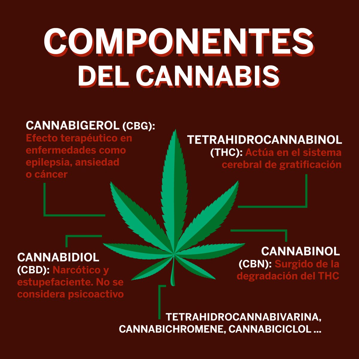 papelrawespana's tweet photo. Un poco de culturilla nunca viene mal… ¿Sabes lo que hace cada componente del cannabis en tu cuerpo?🕺🔥 #RAWlife #smokenaturally

https://t.co/i4Xm3udyM8 https://t.co/G3rJDE0CmE