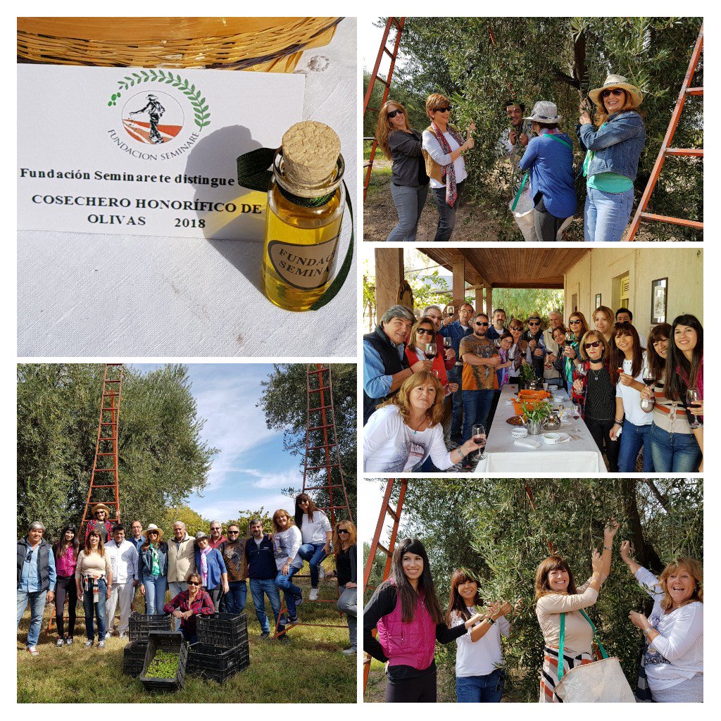 Dia de cosecha en <a href="/OLEOVID/">OLEOVID FincaEscuela</a> Finca Escuela
<a href="/AOVE13/">Fundación Seminare</a> nombrando a los #CosecherosHonoríficos 2018 <a href="/CamaraOlivicola/">Camara Olivicola</a> <a href="/Betiflu/">La Peti 🍷🇦🇷 🥂</a> <a href="/uvas_mendoza/">Uvas De Mendoza</a> <a href="/AdrianaMCarrion/">Adriana M Carrion</a> <a href="/MarioJavier_A/">Mario Javier</a> @escueladeaceite <a href="/vino256/">Vinos de Mendoza</a>