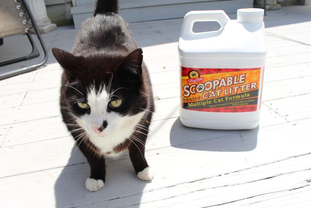 cat litter shoprite