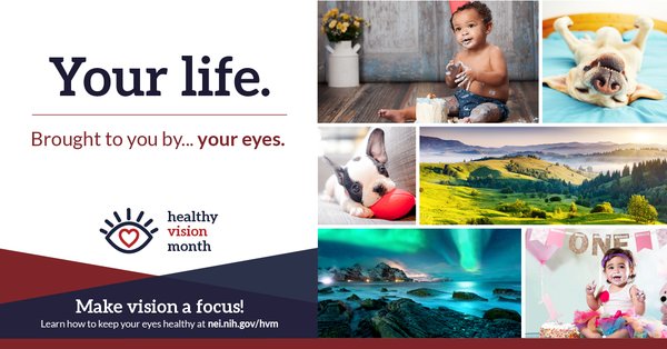 kebeaugh's tweet photo. May is Healthy Vision Month. Learn how you can make vision a focus this month — and all year long! https://t.co/uBuvg5Q42D https://t.co/jO4BeRNSnf