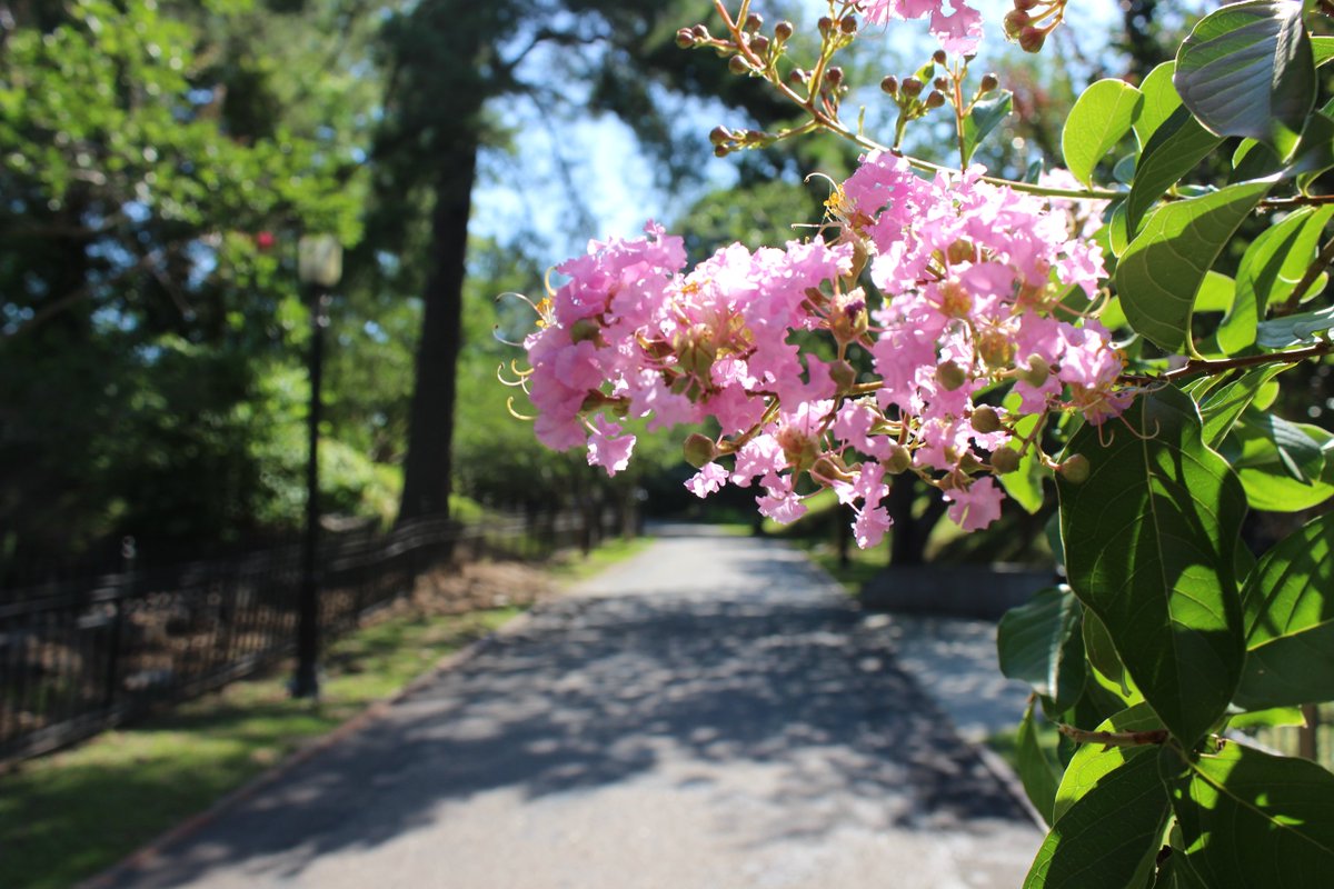 CityofColumbia's tweet photo. No winter lasts forever, so go outside and enjoy the spring weather! #SpringTimeInTheCity https://t.co/WxktcGIwYj