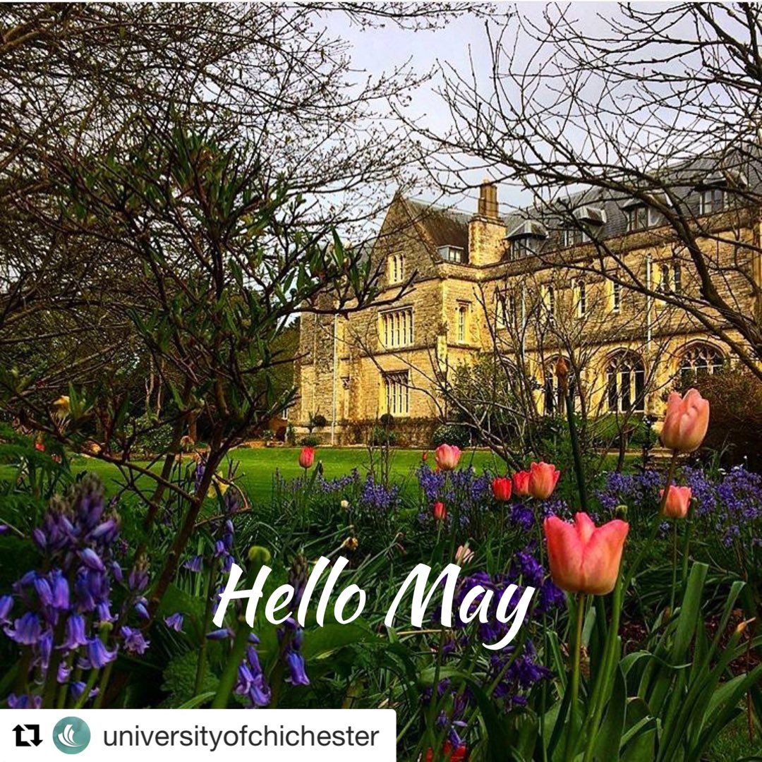 Love Chichester tweet media