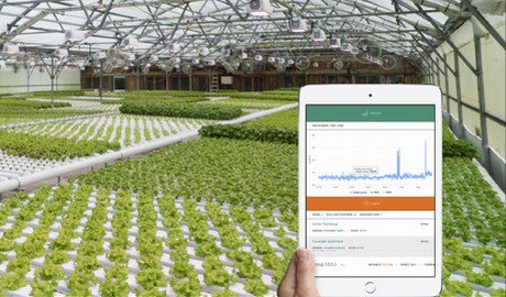 Heliospectra's tweet photo. "Data-driven insights to automate every single parameter of lighting" https://t.co/ogLjhu7jFb by @hortidaily #HelioCORE LED light control enables growers @greenbeltgreens @JohnInnesCentre to improve quality of crops, accelerate production cycles, and accurately predict yields https://t.co/2u5Mj2pJNT