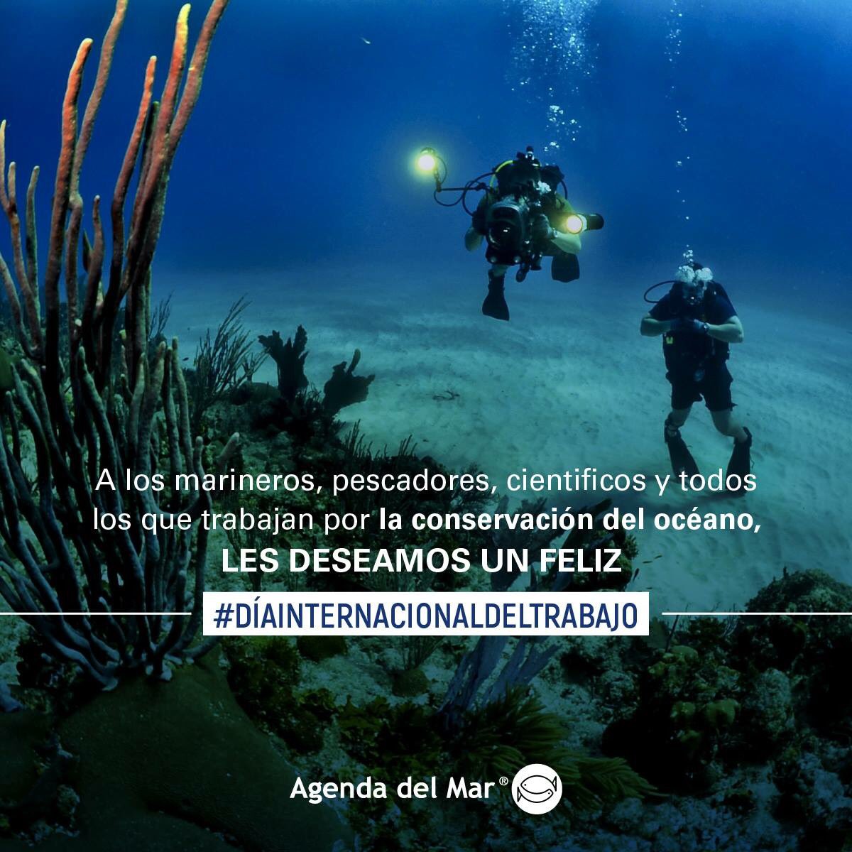 Feliz #DiadelTrabajo a todos