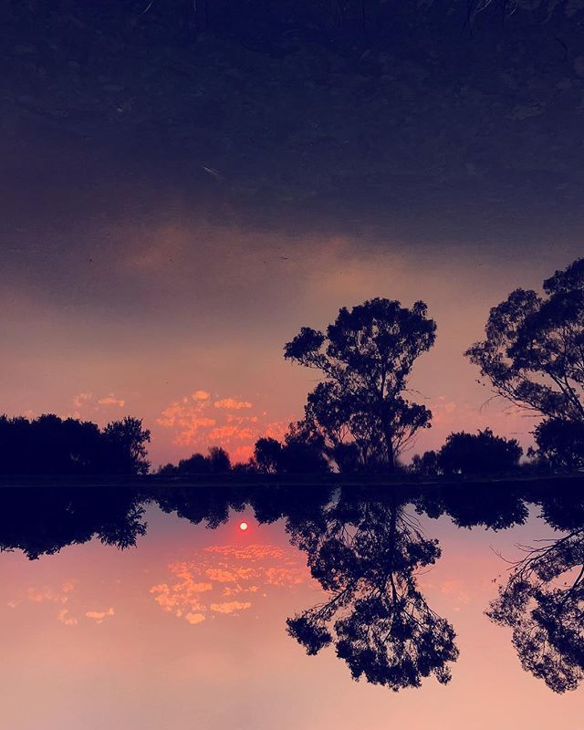 vickipilcher's tweet photo. A magical afternoon walk through @country_club_johannesburg #Woodmead ending with a spectacular #sunset ~ I watched the beautiful red ball of fire for ages until it dipped below the horizon .
.
.
.
.
#mirrorlike #reflections #mirrorlake #upsidedown #like… https://t.co/Itwgrdi2sX https://t.co/z4FvNT1Txv