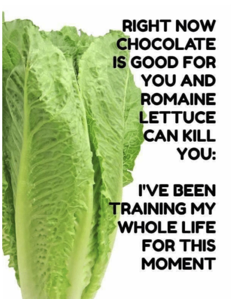 shannonmiller96's tweet image. 😂😂😂😂😂😂 #trainingiskey