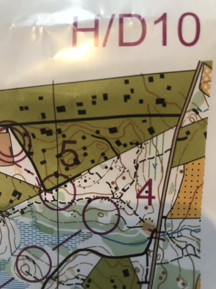 Katja Mjøsund tweet media