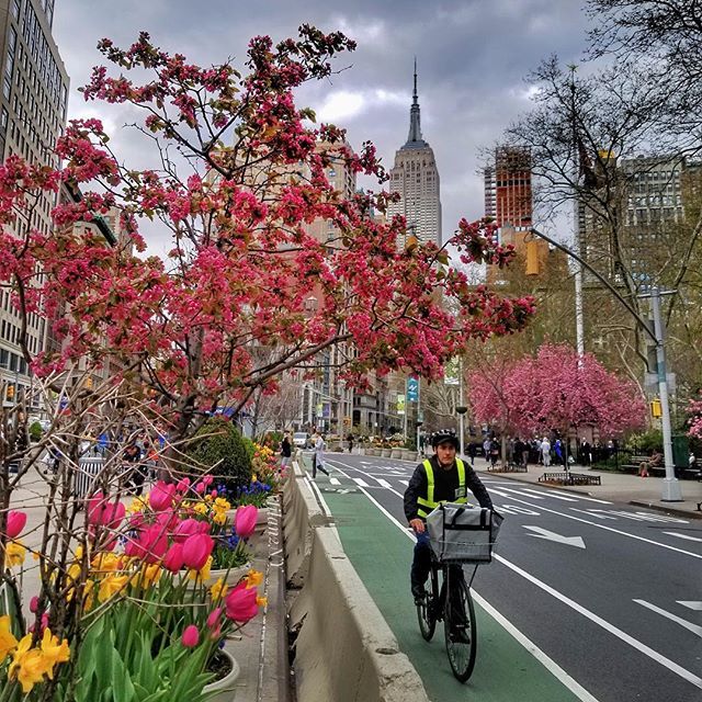 RT@NYCDailyPics Empire State Building by @MiLan2NY23 #newyork #nyc