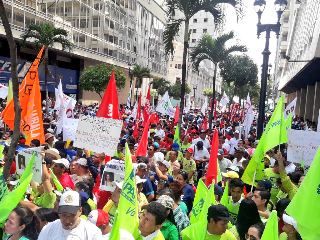 CUT-GUAYAS tweet media