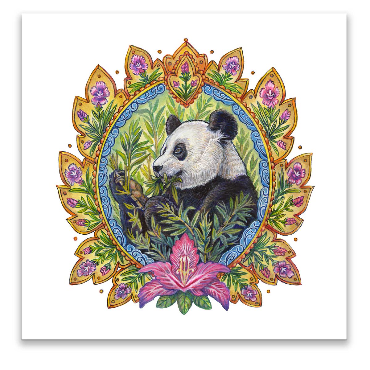 beverly_zim's tweet photo. Chinese Giant Panda; Only about 2 to 3,000 left in the wild Diet is 90% bamboo  &amp; have special black and white markings that are thought to behave as camouflage in their shaded and snowy habitat https://t.co/FdHt5emLjT  works to bring awareness to endangered species of our planet https://t.co/kTiTVP2E4h