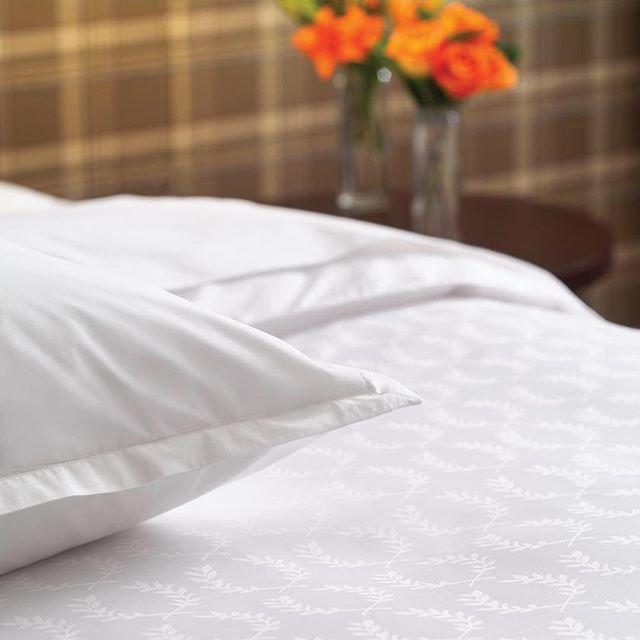 SheratonAbuja's tweet photo. Crawl under the #Sheets &amp; #Experience the #Sheraton #SleepExperience for a whole new definition of #Comfort &amp; Style
#SheratonHotel #Hotel #SheratonAbuja #Rest #GoodNight #Night #SheratonSleep #SweetDreams #Dream #Refresh #MarriottIntlMEA https://t.co/n2nMCoPxhj