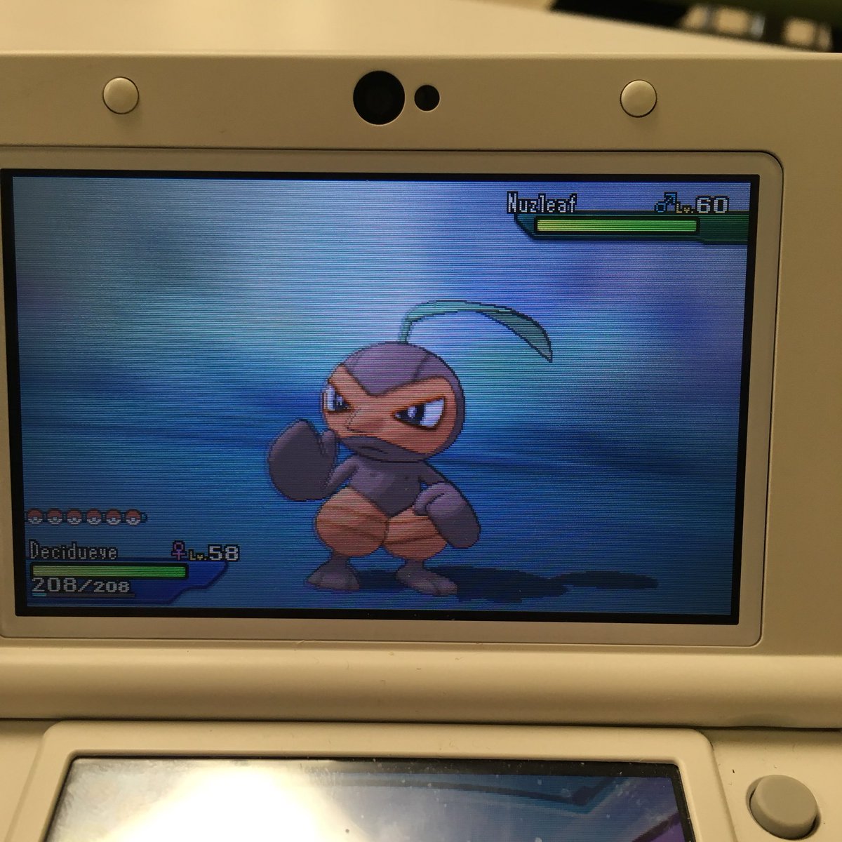 PokeFanTrevor's tweet photo. Got my FIRST wormhole #shiny in #PokemonUltraSun Shiny #Nuzleaf FINALLY #Pokemon #shinypokemon #wormholeshiny #shinyhunting @Ppenguin66 @Hound00med https://t.co/rlgBoVzfmo