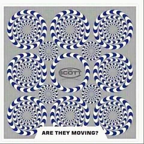 Myno39934408's tweet photo. Rt if u see this picture is moving https://t.co/Z9ITf7wpQb