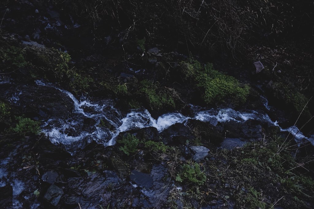 JosephThurbin's tweet photo. One of my favourite places from@my trip to Devon -  #waterfall #devon #landscape_captures https://t.co/jCq7oZBRqf