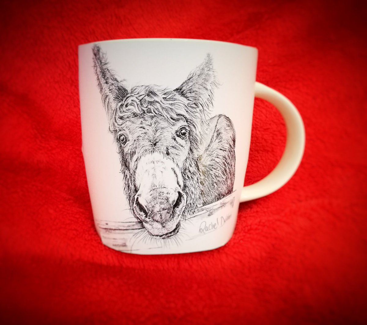 Have you got a favorite mug? Please let me know why. @jill_holtz @DubberTrevor @WomensInspireIE @networkgalway @EmpowerHerIE
@seanna68 @irishhealthhour @coopershill1 @CEEscapes #animalslovers #donkey #favouritemug #Galway #research