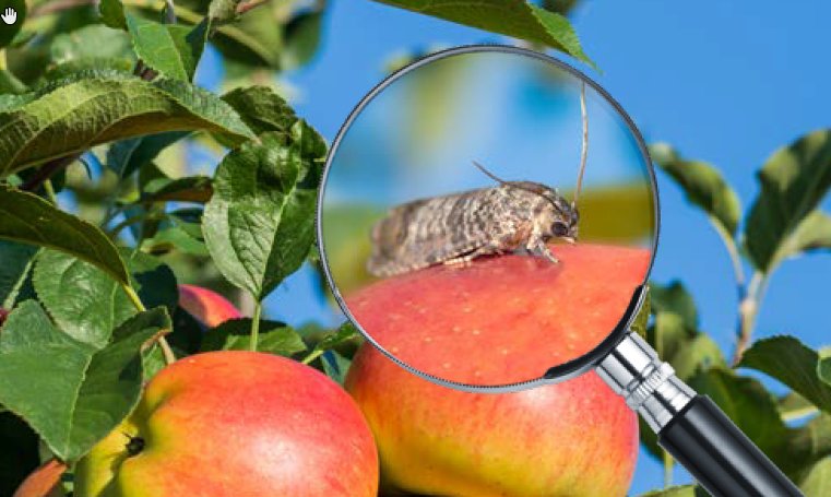 BASFagronl's tweet photo. De Stichting #MilieuKeur heeft #MadexTopSC nu toegevoegd aan de lijst van toegestane producten binnen #OnthewaytoPlanetProof. https://t.co/cTfRTHbyMG