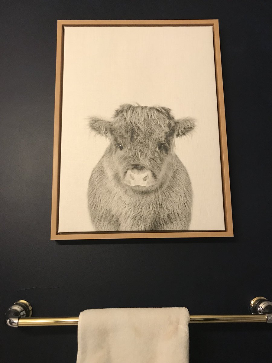 pint_pound_pate's tweet photo. New art addition to the townhouse - my daily reminder that I should be in #scotland right now! #itsacoo #portraitofacoo #VisitScotland https://t.co/LTfrbruSjG