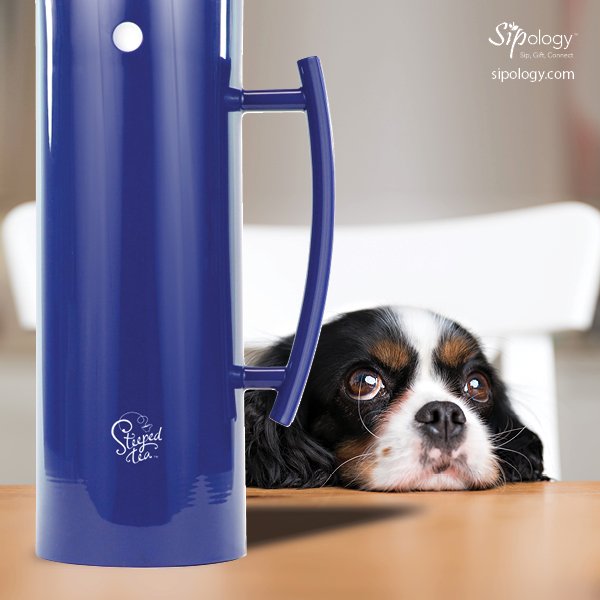 Sipology's tweet photo. Will you be ready for the dog days of summer? The Wavy Navy Tip Top Carafe is a must-have summer essential!

Book your tea bar: https://t.co/Q2py89QIHj https://t.co/3MKp2yTYOq
