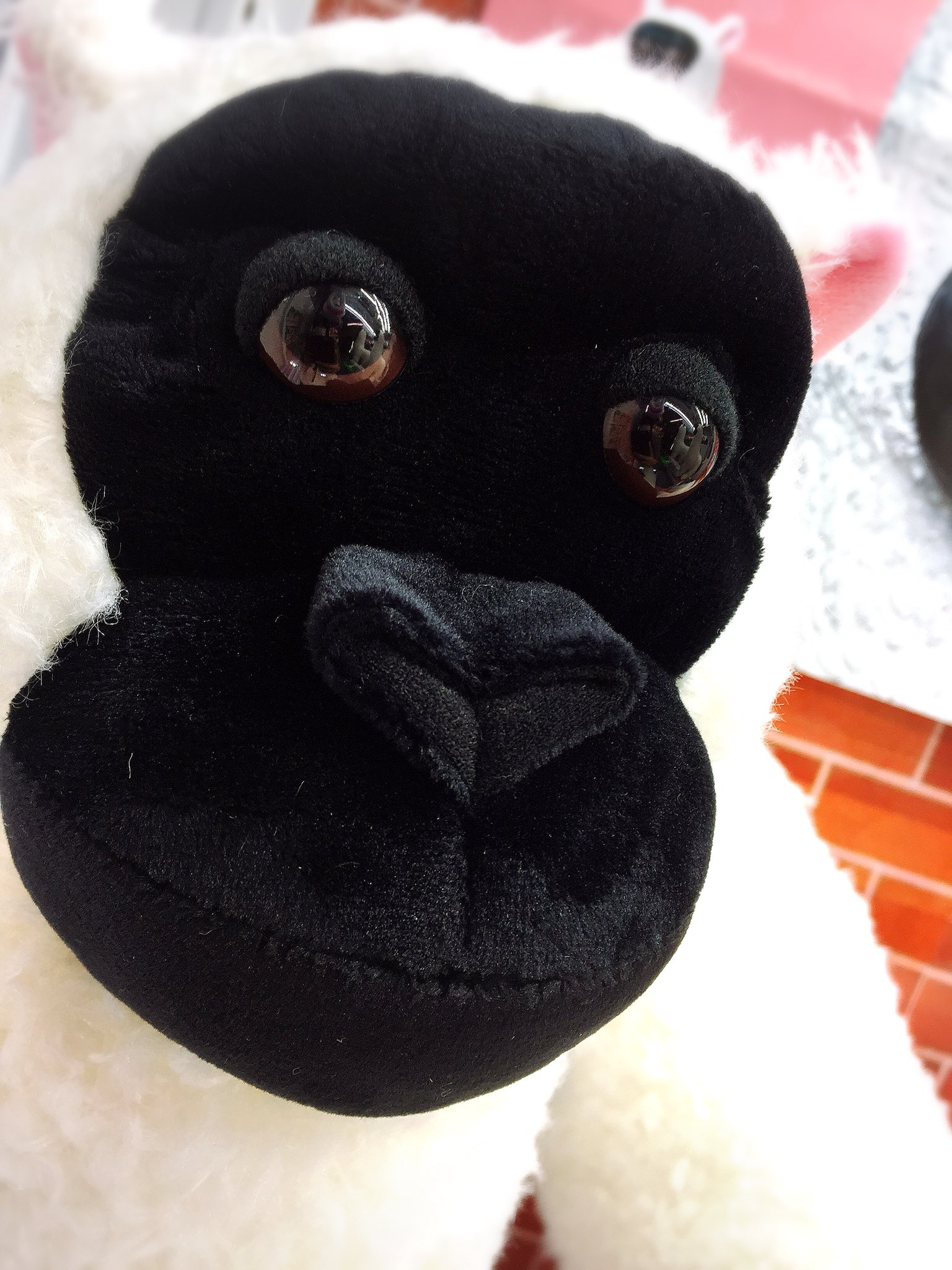 マンガ倉庫八代アミューズ on X: 