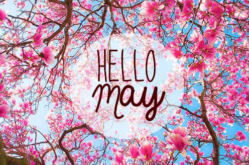 planwithbea's tweet photo. Hello May! Looking forward to @raceforlife later this month! #NationalWalkingMonth #Pinchpunchfirstdayofthemonth #PositiveVibes https://t.co/a2jsSWXhz4