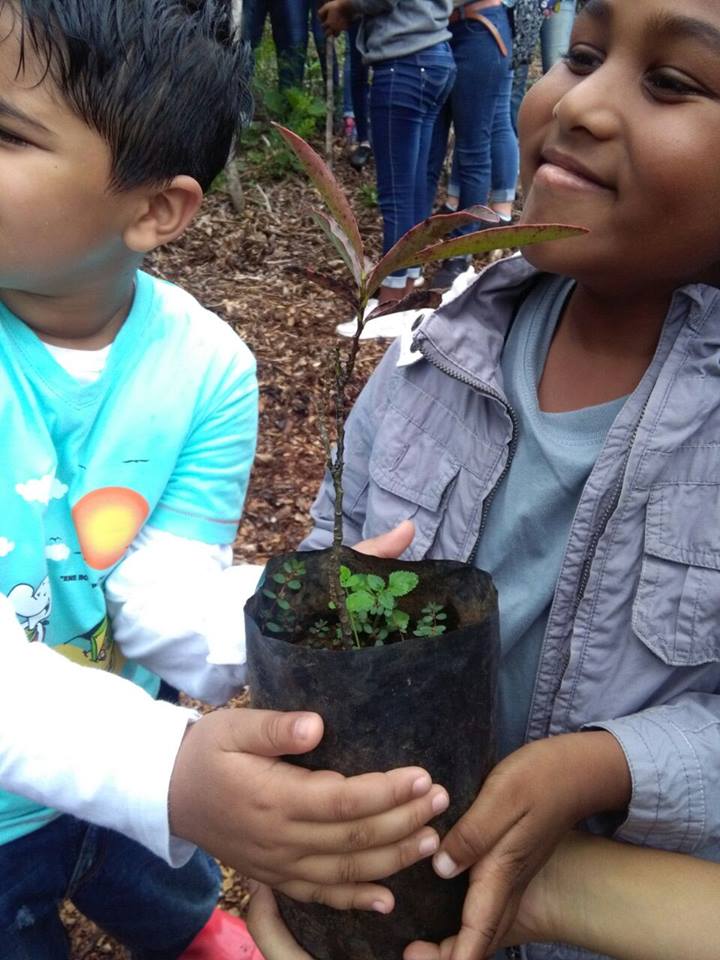 Ebony Forest Reserve tweet media