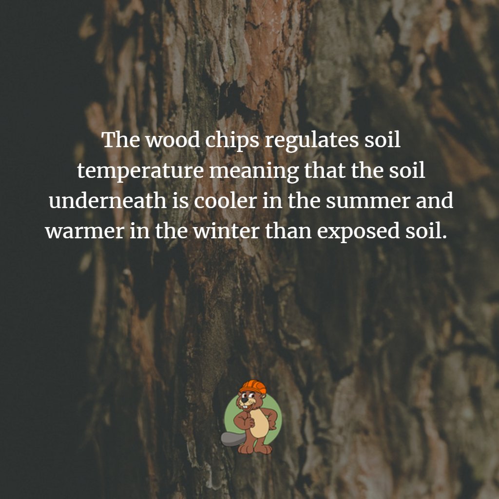 The wood chips regulates soil temperature meaning that the soil underneath is cooler in the summer and warmer in the winter than exposed soil.