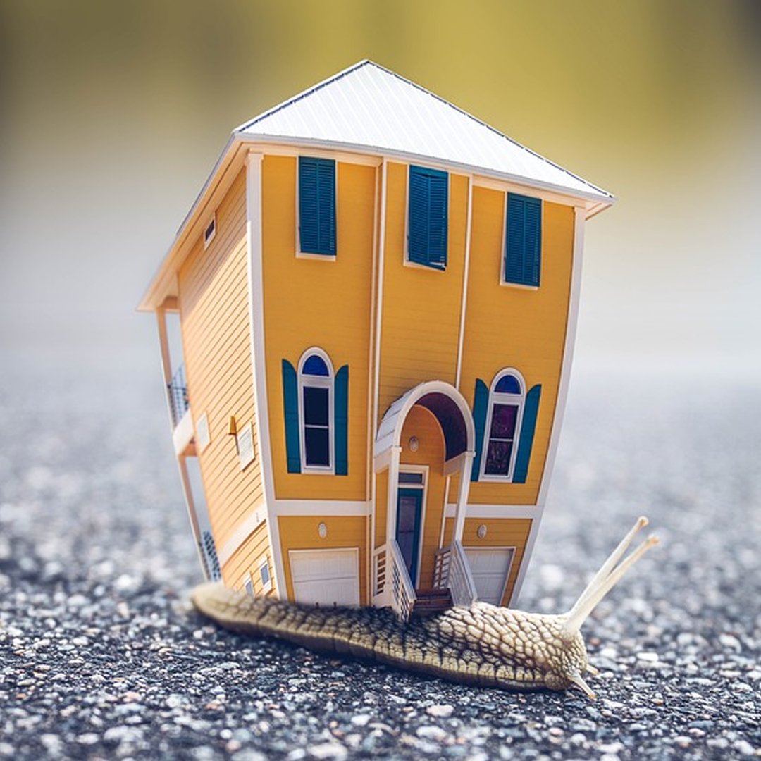TMAAMV's tweet photo. No matter how big or small you choose to live in...We can help you to move anytime, just give us a call...
#movingday #relocation #movingservices #professionalmovers #rightmove #federalwaywashington #bellevuewa #seattlewashington #tacomawashington #newhome #newhouse #stressfree https://t.co/fliCdjAFo3