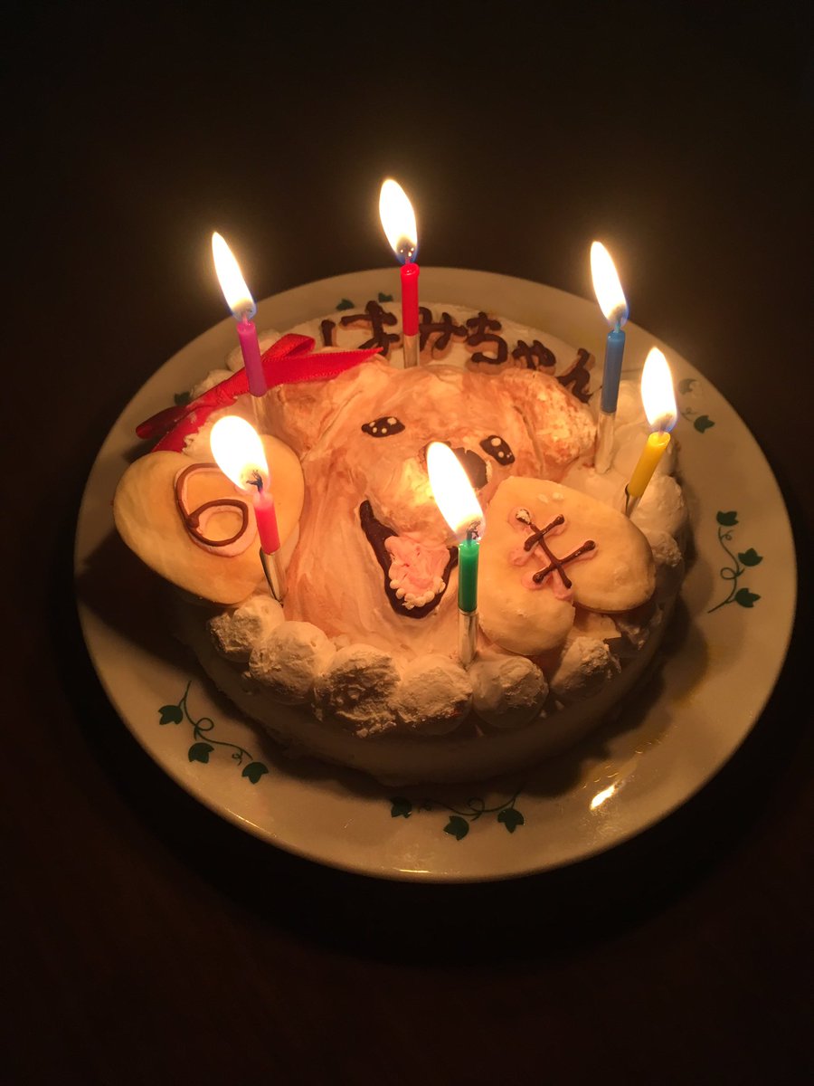 hammy0501's tweet photo. 飼い主②からケーキが届きました❣️▽ ^ω^ ▽

似てる？似てる？！

#ワンコケーキ #似顔絵ケーキ #WANBANA #HappyBirthday #6歳 https://t.co/zXovHzf5tF