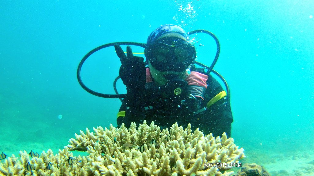 Labour Day 2018 dive. 'Work smart, play hard'. To our UMS diver, 'study smart, play hard' 👌 #PulauUdarEcoPark #GreenNavy #SediaBerkorban
@tldm_rasmi @MPA_Timur @hqenl @syedzahirputra