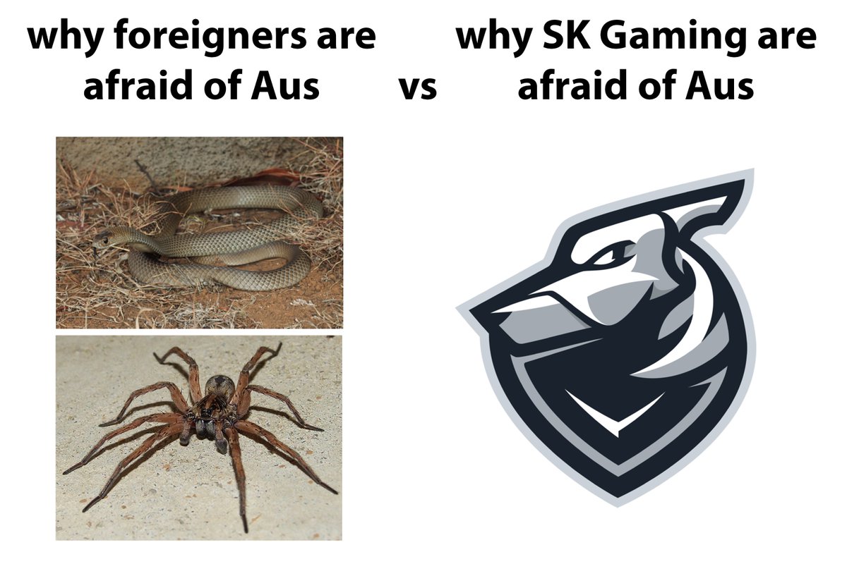 ESLCS's tweet photo. #IEM
@SKGaming @grayhoundgaming https://t.co/gXG5bCYZIp