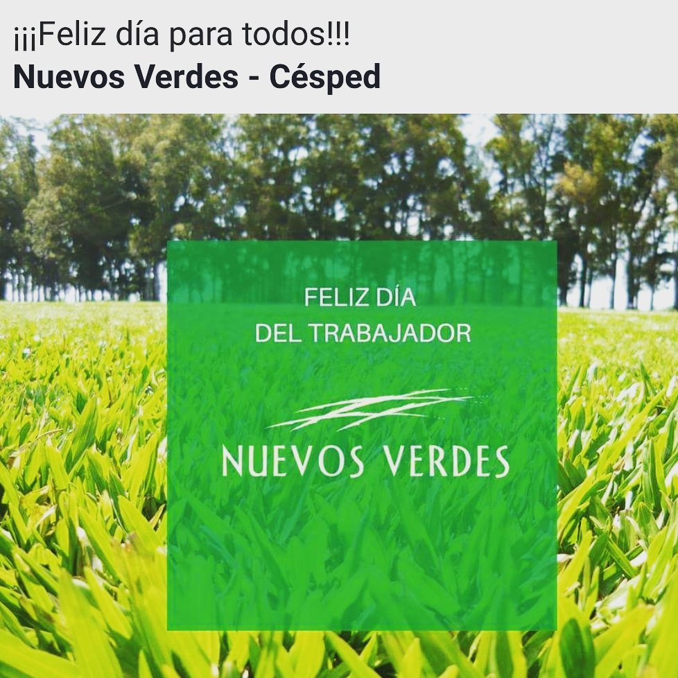 Nuevos Verdes Césped (@nuevosverdes) on Twitter photo 
