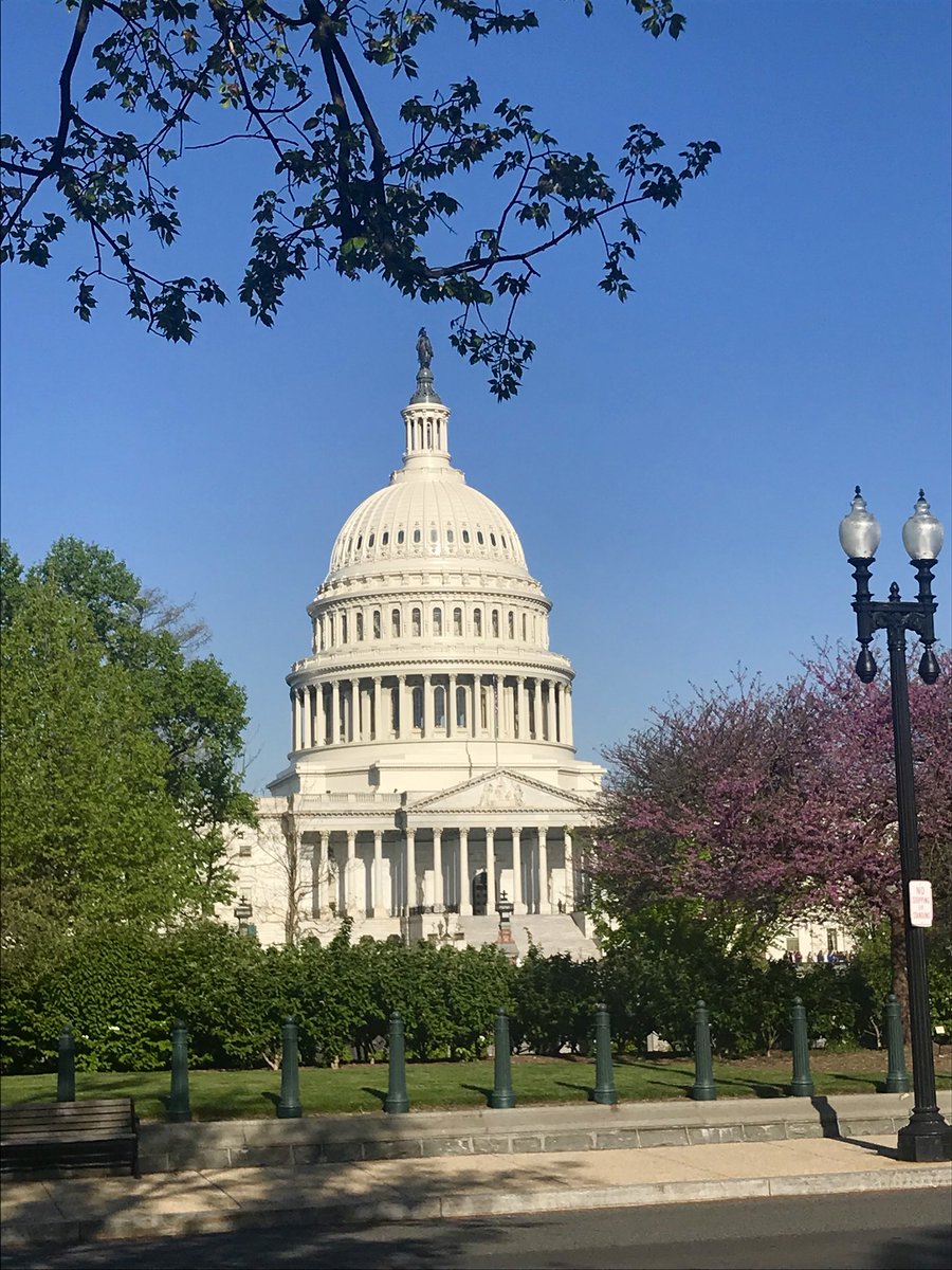 cdills1's tweet image. Starting out day on the Hill!  #AARCLobby