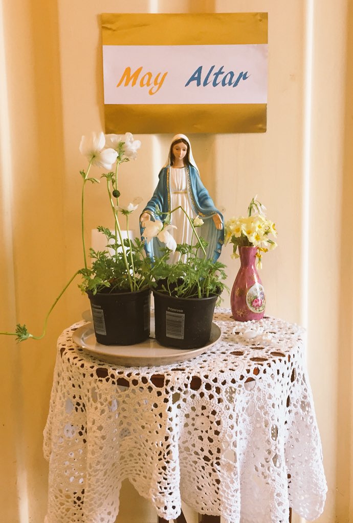 St. Columba's N.S. tweet media