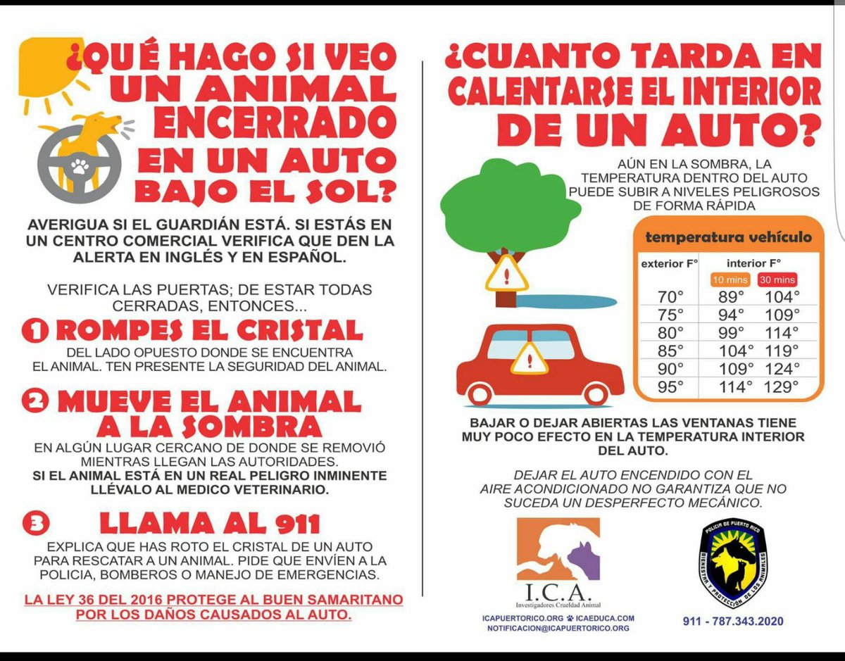 IcaAnimal's tweet photo. No lo dejes en el carro https://t.co/E4bpEmjdJe