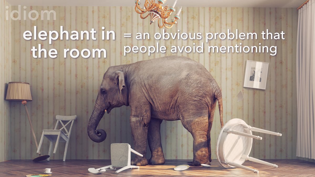 Big Elephant In The Room Idiom