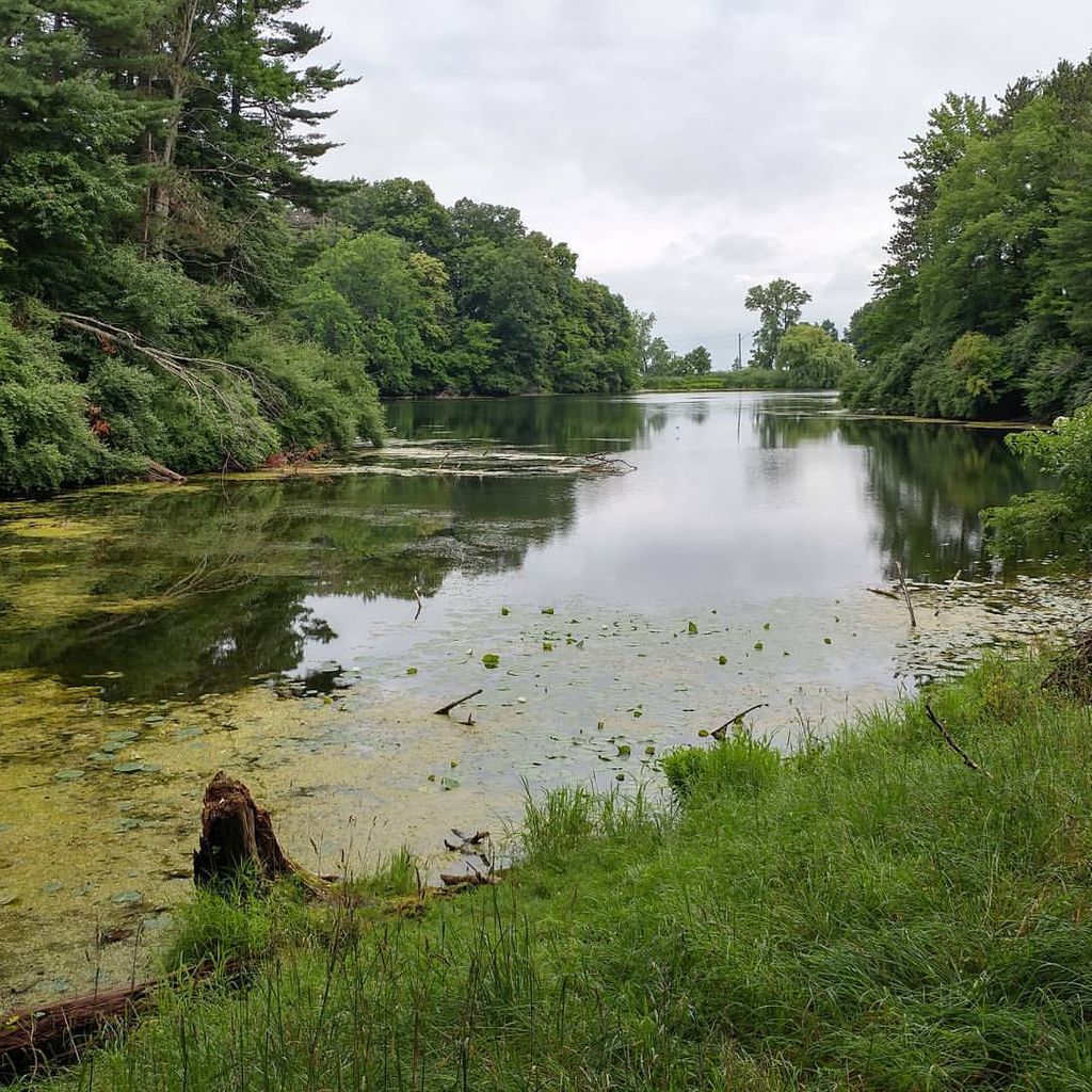 datesinstates's tweet photo. Today is a beautiful day for a hike through Durand Eastman Park. Wouldn't you say?
.
.
.
#rochester #rochesterny #585 #roc #newyork #roccityny #ny #585roc #penfield #buffalo #eastrochester #webster #roccity585 https://t.co/l0wOo3J9wK